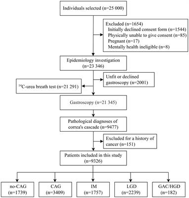 Risk factors in the development of gastric adenocarcinoma in the general population: A cross-sectional study of the Wuwei Cohort